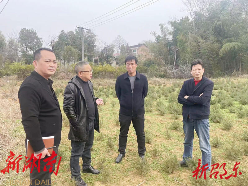 劉家豪督導調研鄉村振興專項巡察整改工作_邵陽頭條網